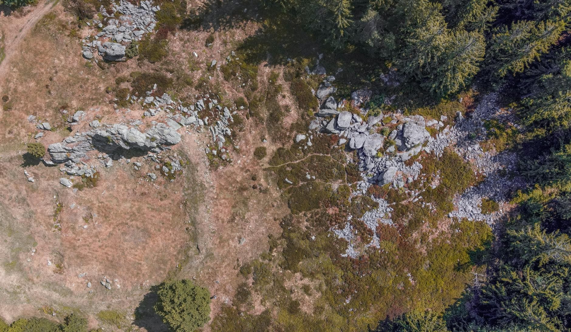 Luftaufnahme einer steinigen Berglandschaft mit Nadelbäumen, trockener Vegetation und mehreren Trampelpfaden.