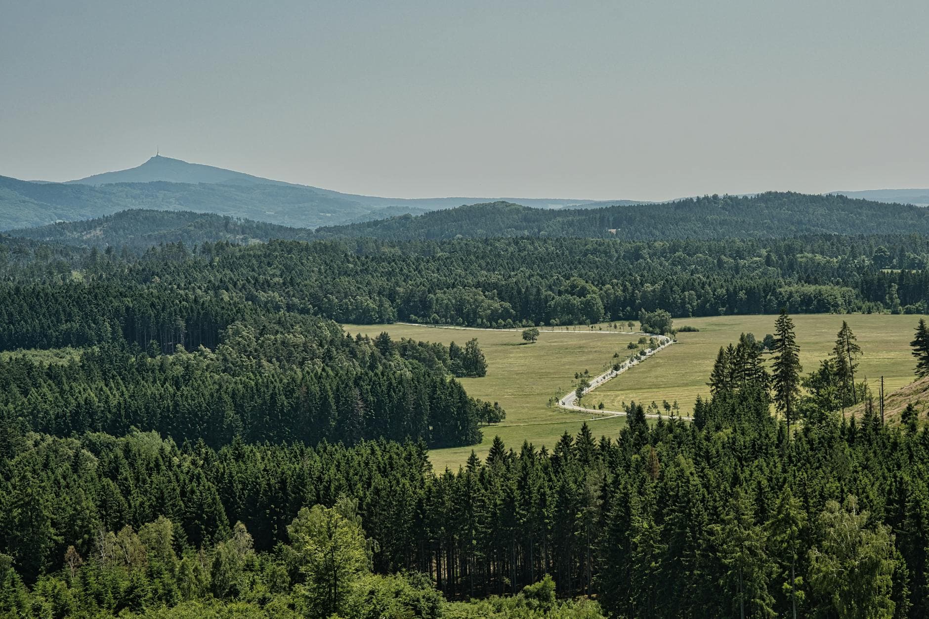 Blick über eine bewaldete Hügellandschaft mit einer kurvigen Straße durch grüne Wiesen und einem Berg mit Turm im Dunst.