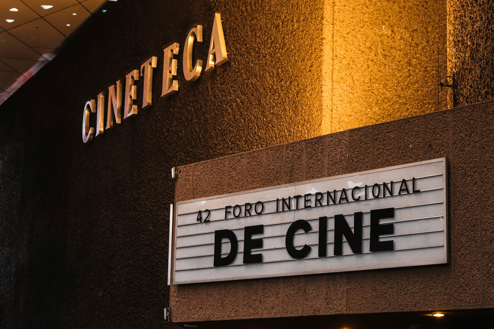 Lichter Filmfest startet in Frankfurt: Wenn Kino die Kunst befragt